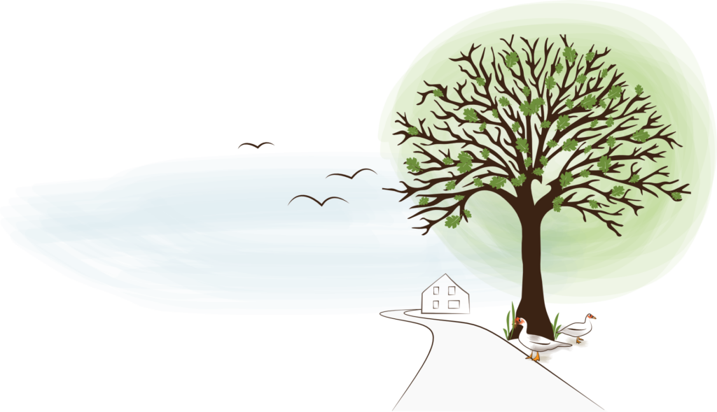 enderhof zeichnung only