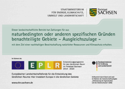 31 azl ang.﹖t=1633496865